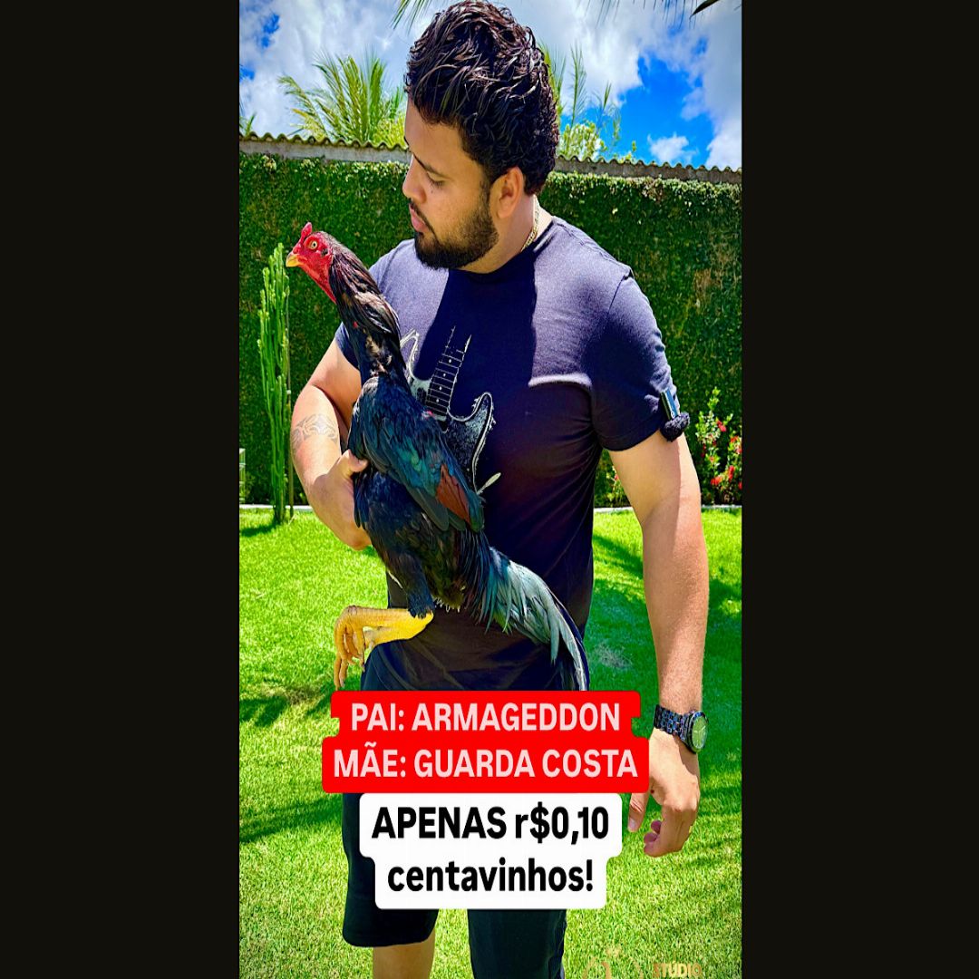 EDIICAOO AGRADECIMENTO