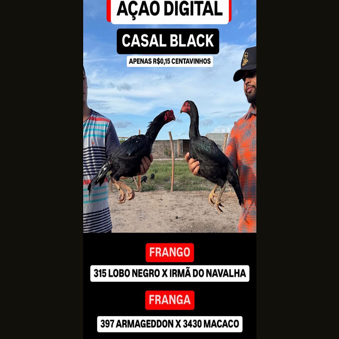 EDIÇÃO BLACKK