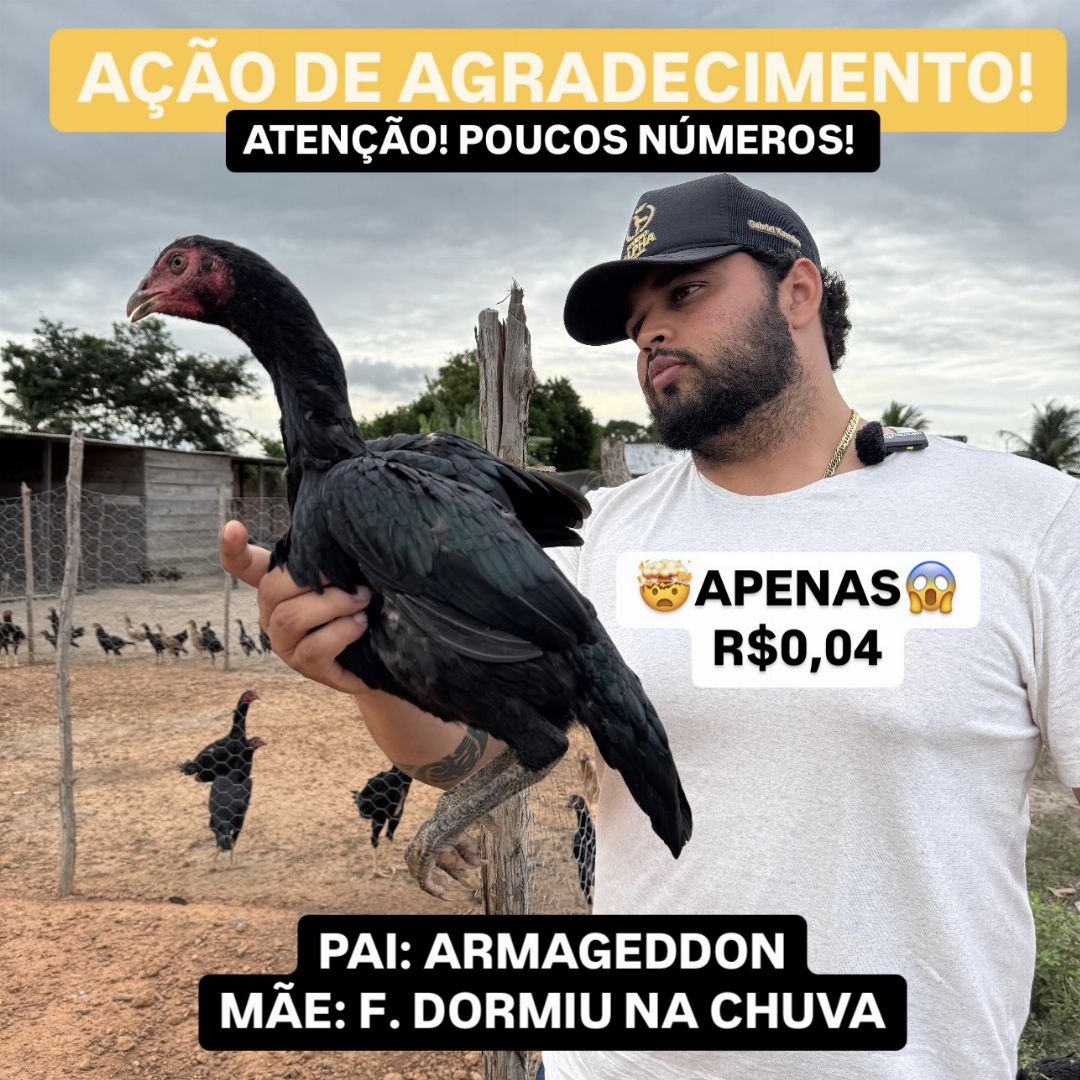 EDIÇÃO AGRADECIMENTO0