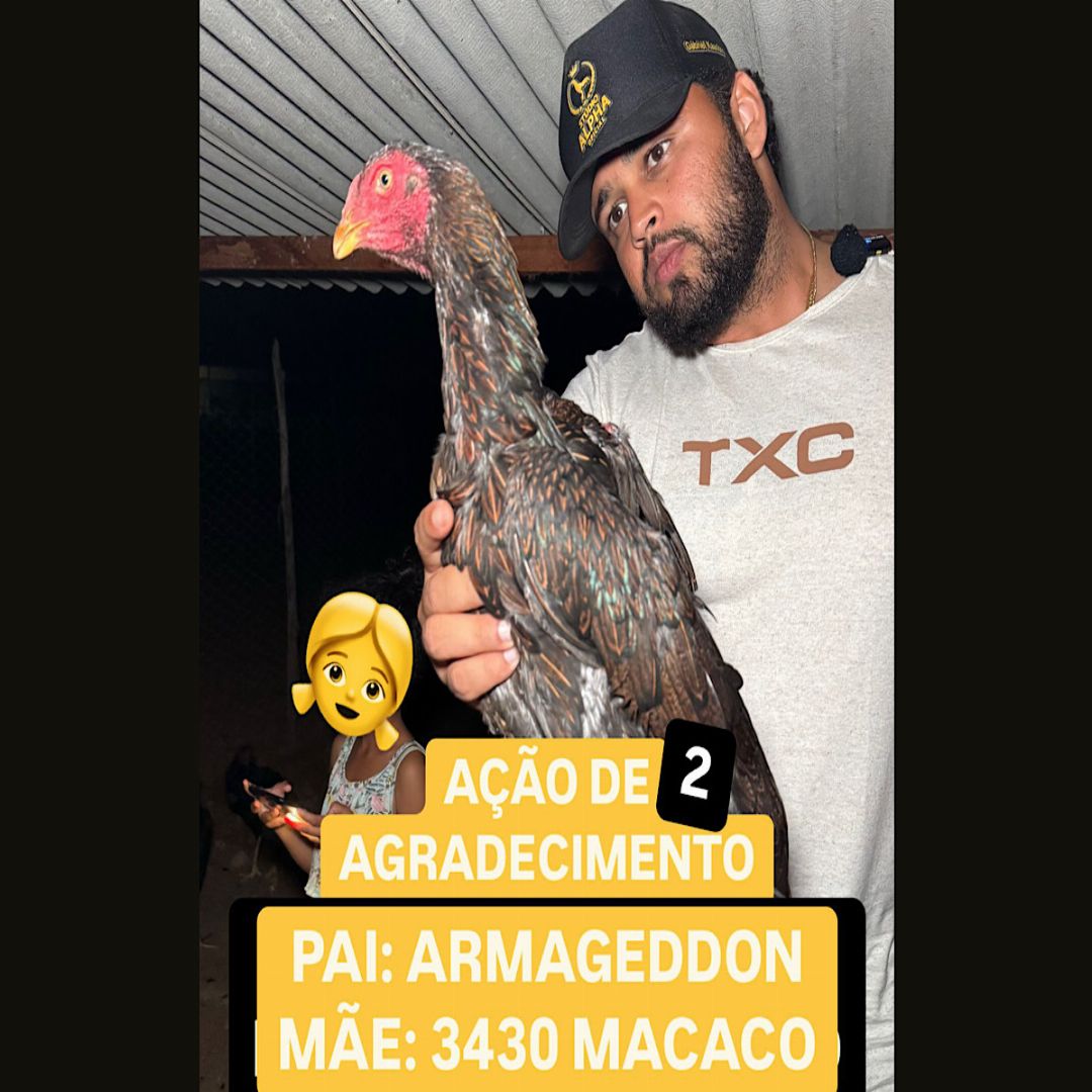 Edição 100 Bilhetes
