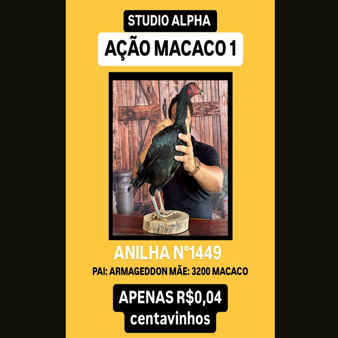 EDIÇÃO DOMINGO MATRIZ