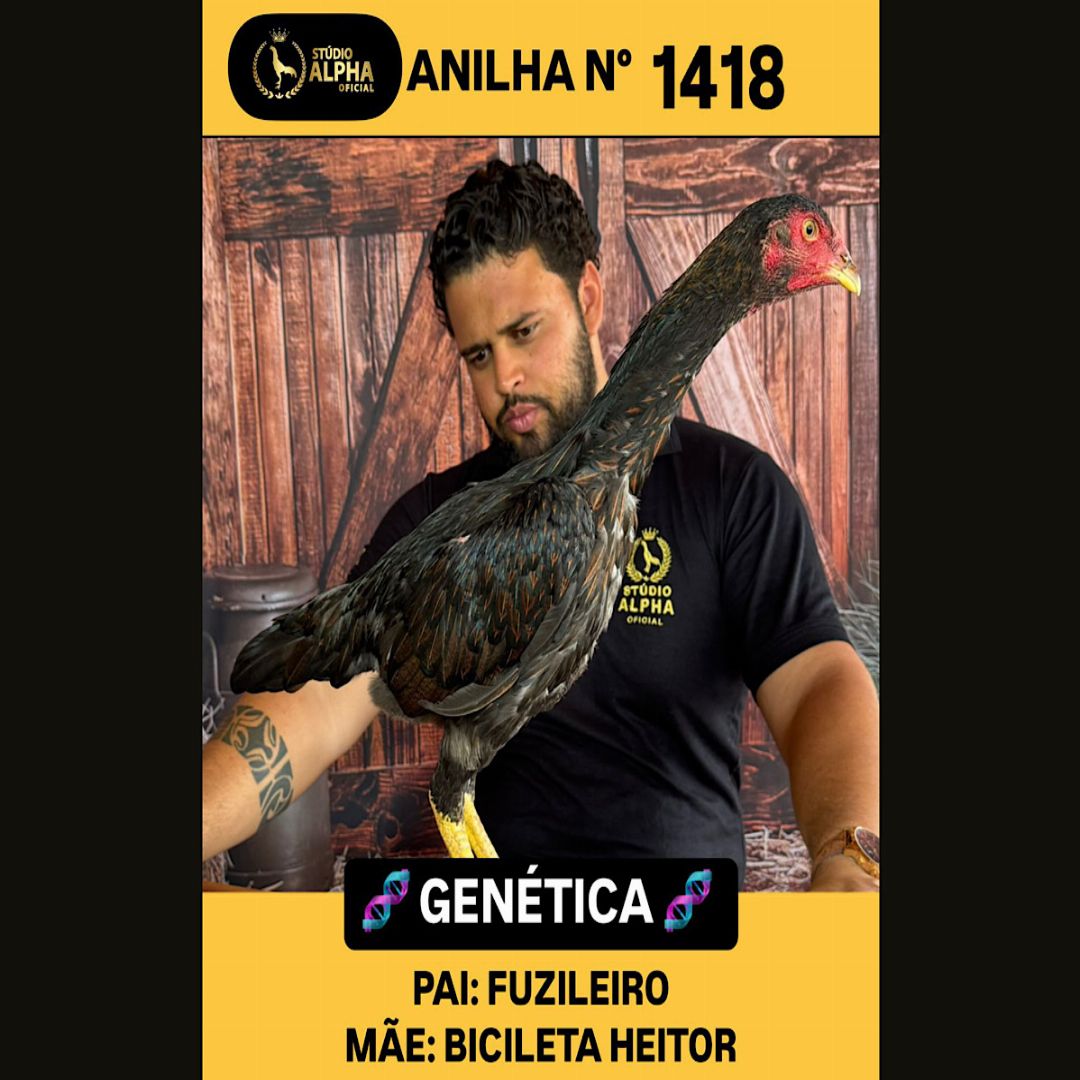 100 BILHETES APENAS