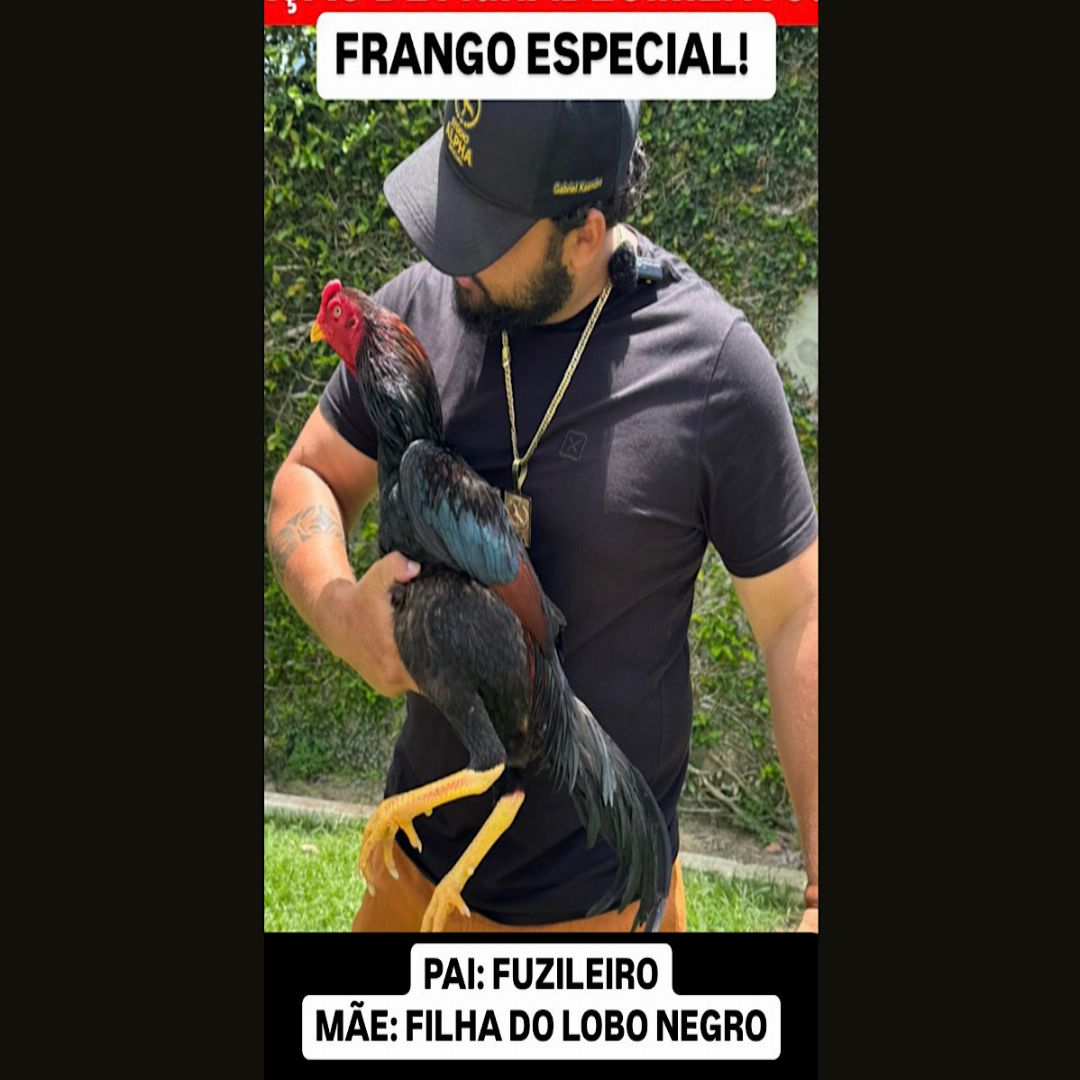 AGRADECIMENTO MACHO