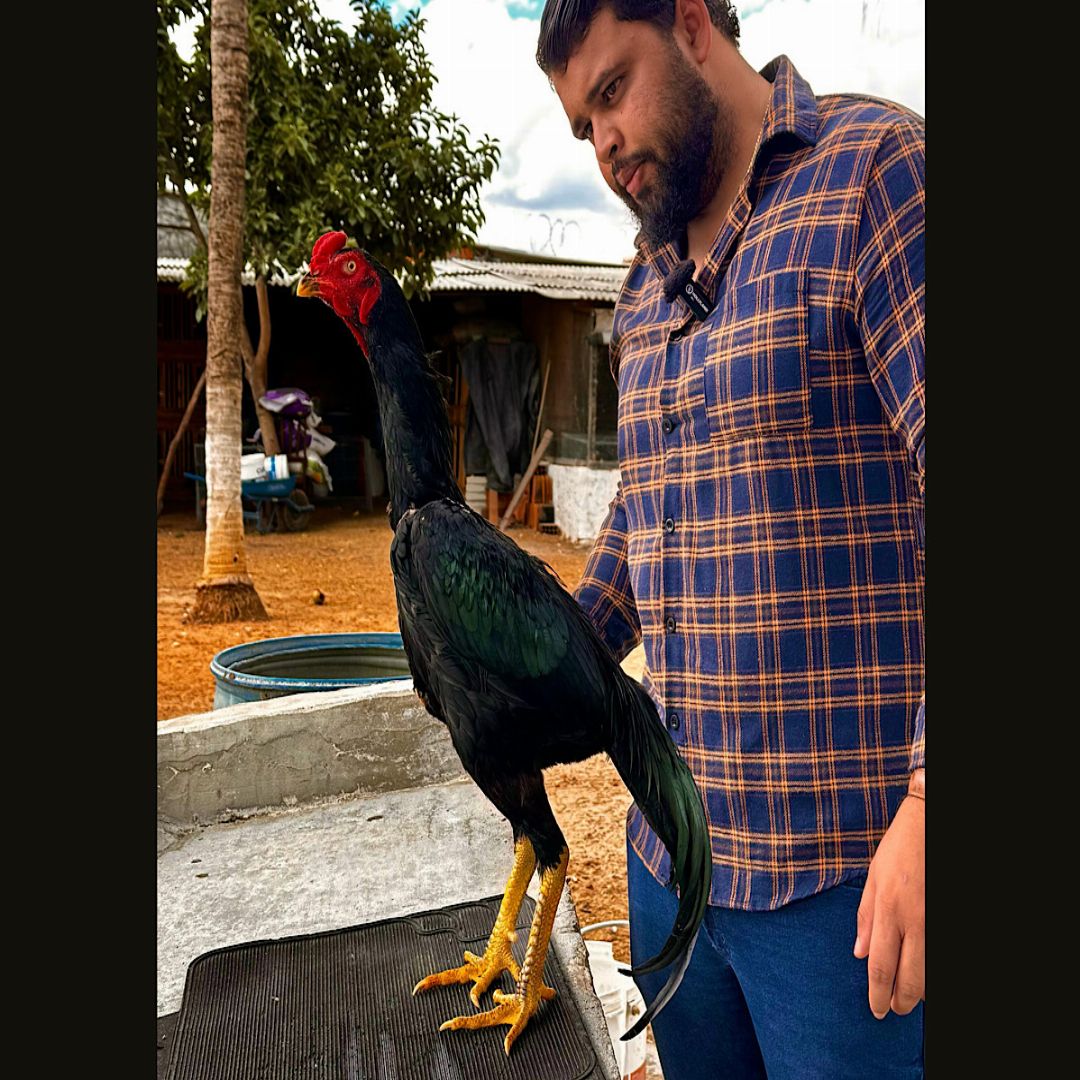 EDIÇÃO AGRADECIMENT0O