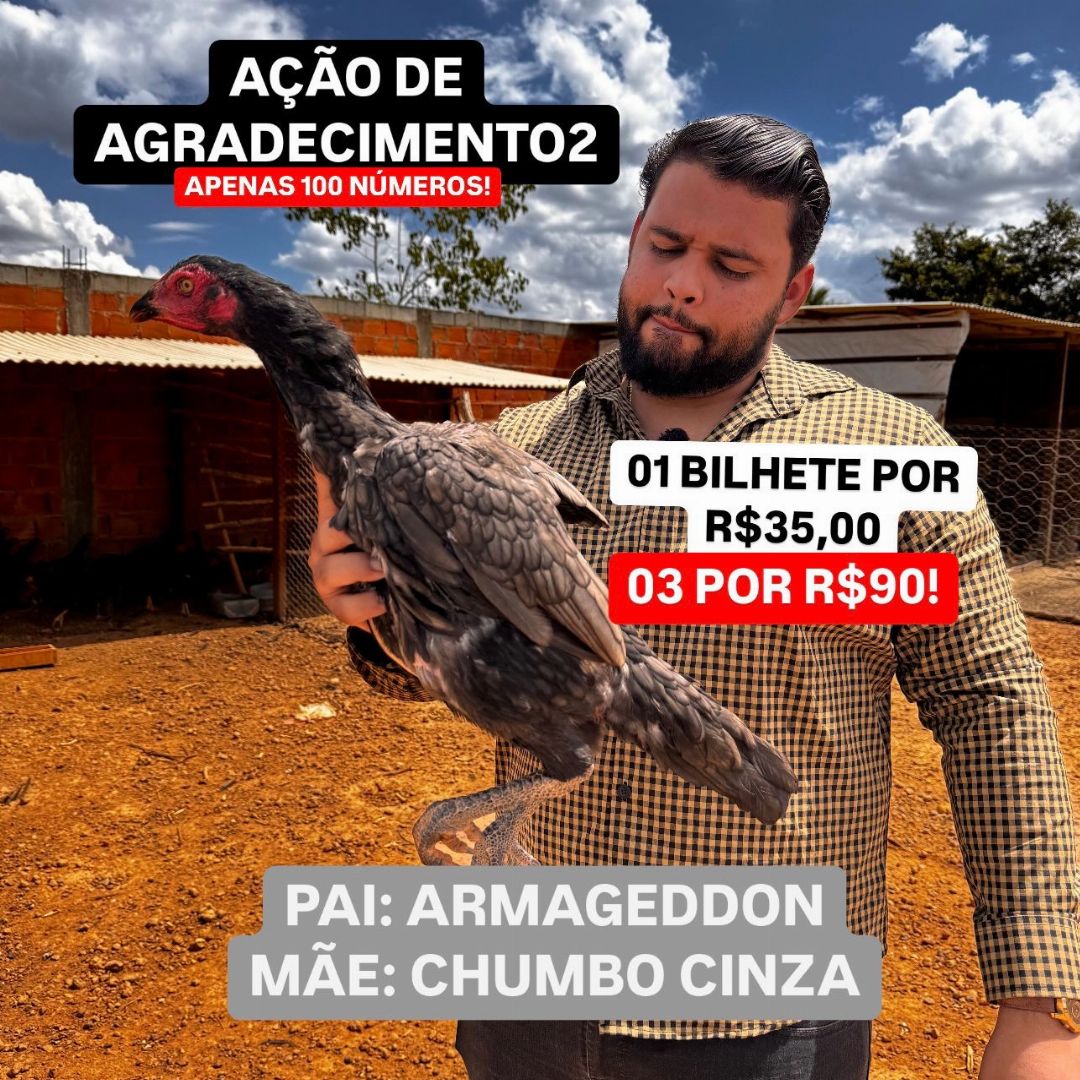 AÇÃO AGRADECIMENTO 100 BILHETEES