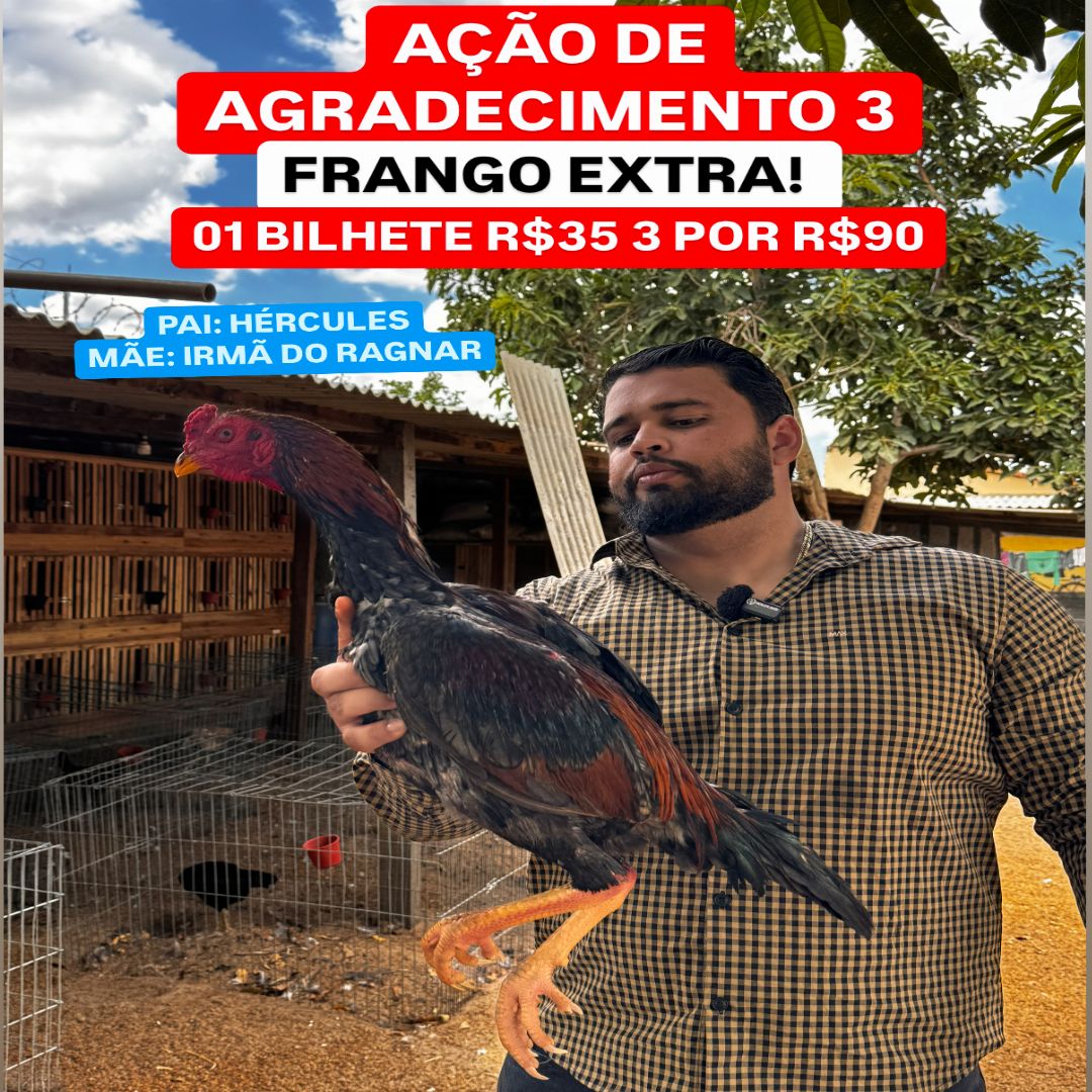 ACAO AGRADECIMENT0O 2