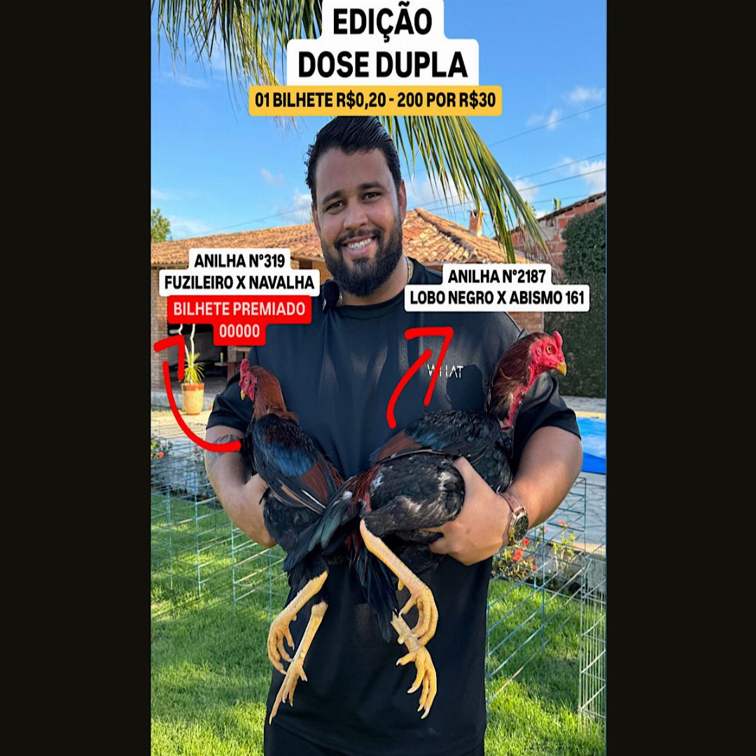 EDICAO FRANGO CLASSIFICADO