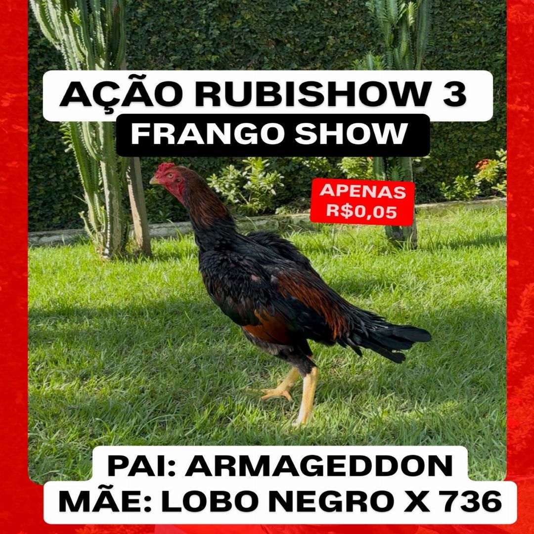 EDICAO RUBSHOW 3