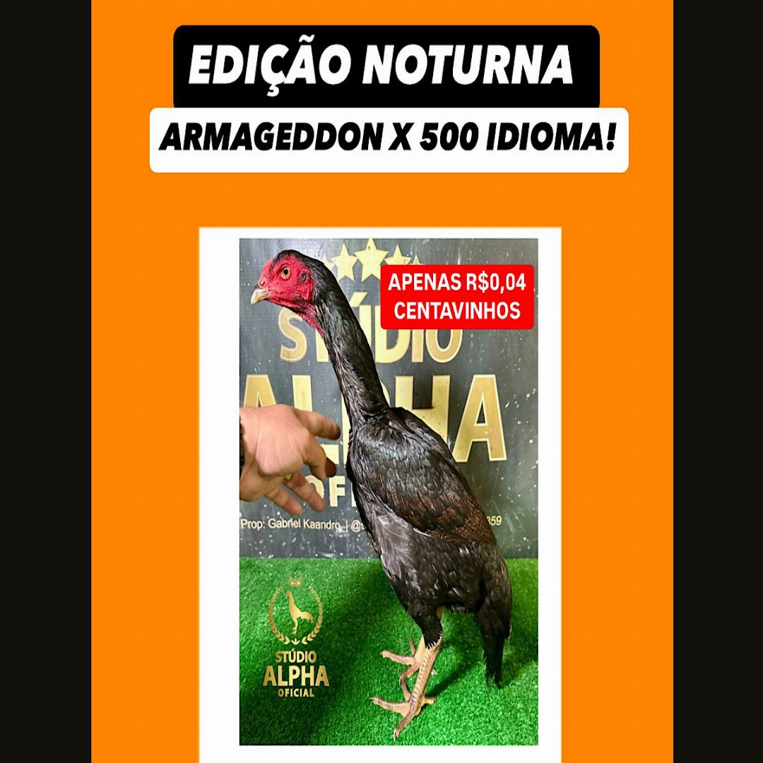 EDICAO NOTURNA