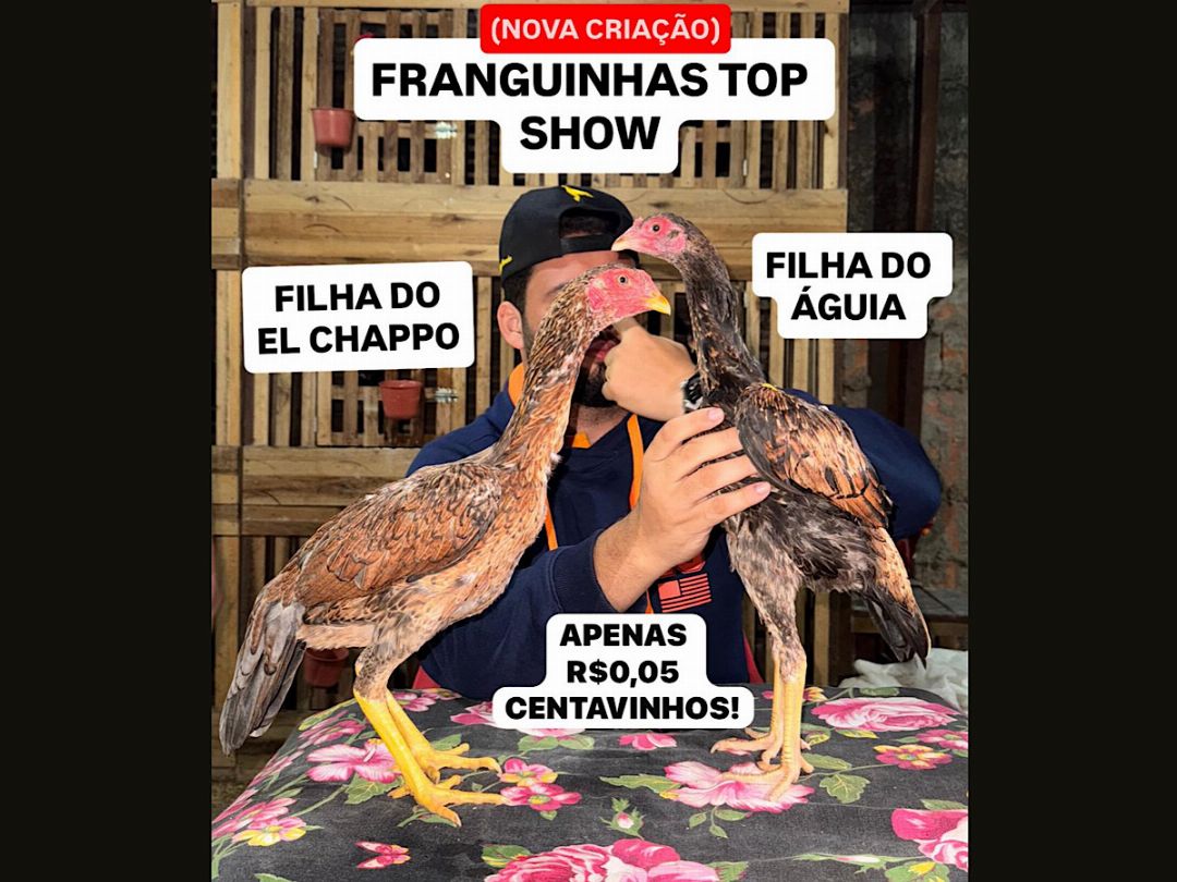 DUAS EM UMA