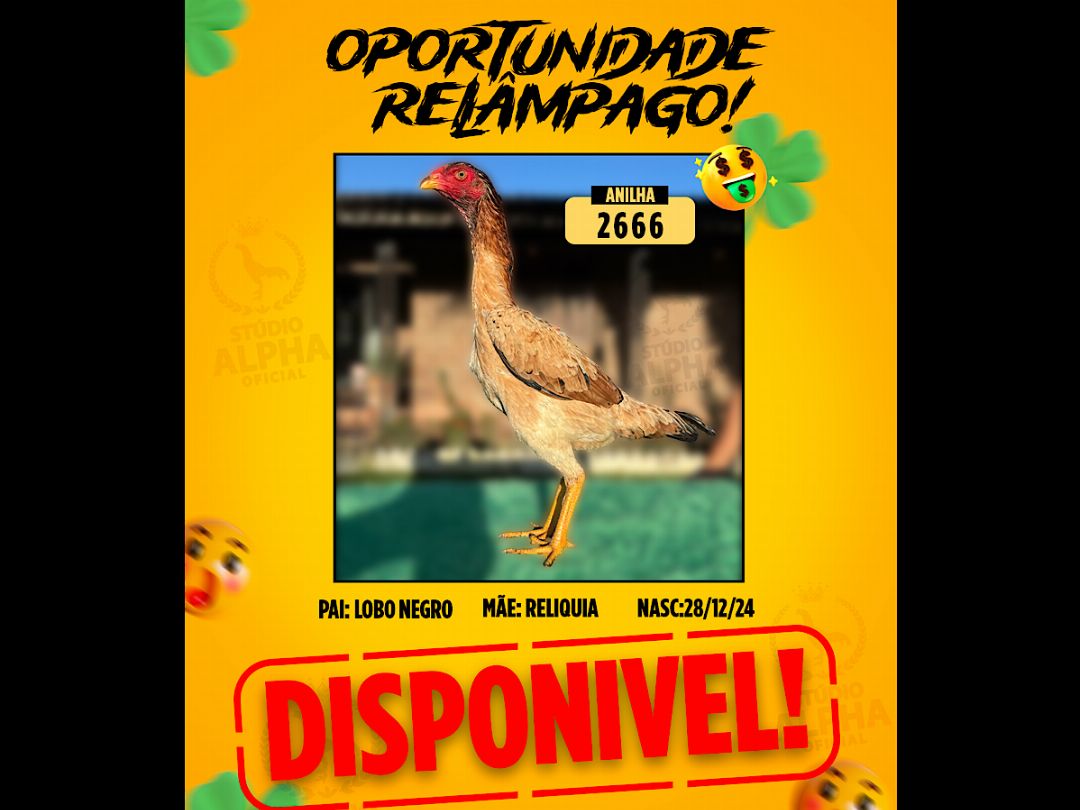 EDICAO DOMINGUINHO 100 BILHETES